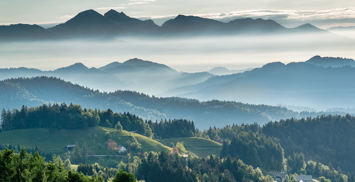 Les plus belles forêts en Europe à visiter