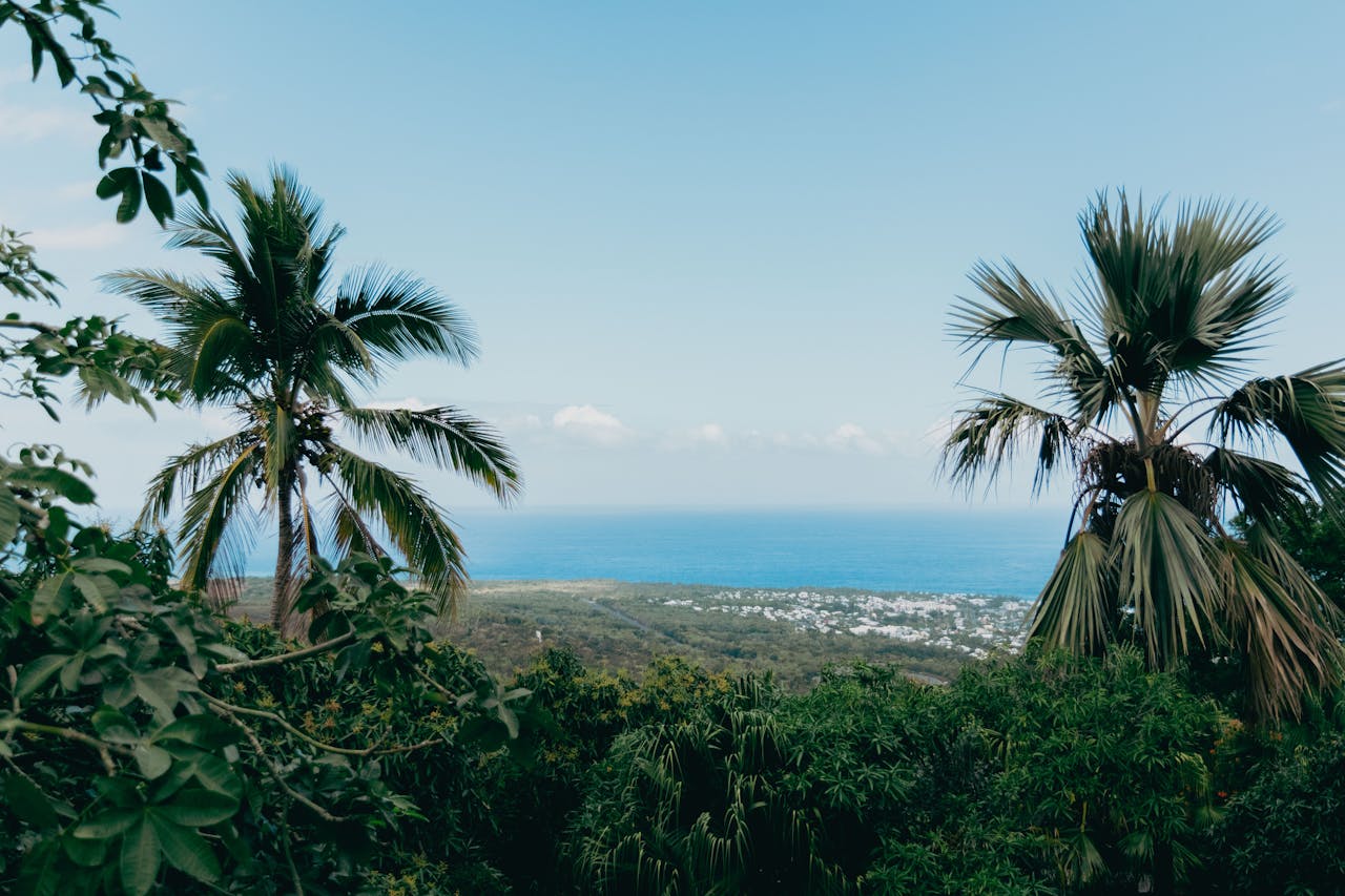voyage-réunion-en-famille