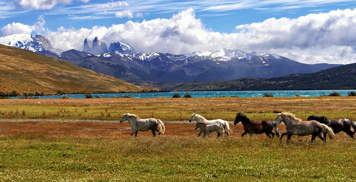 découvrir-la-patagonie-en-3-lieux