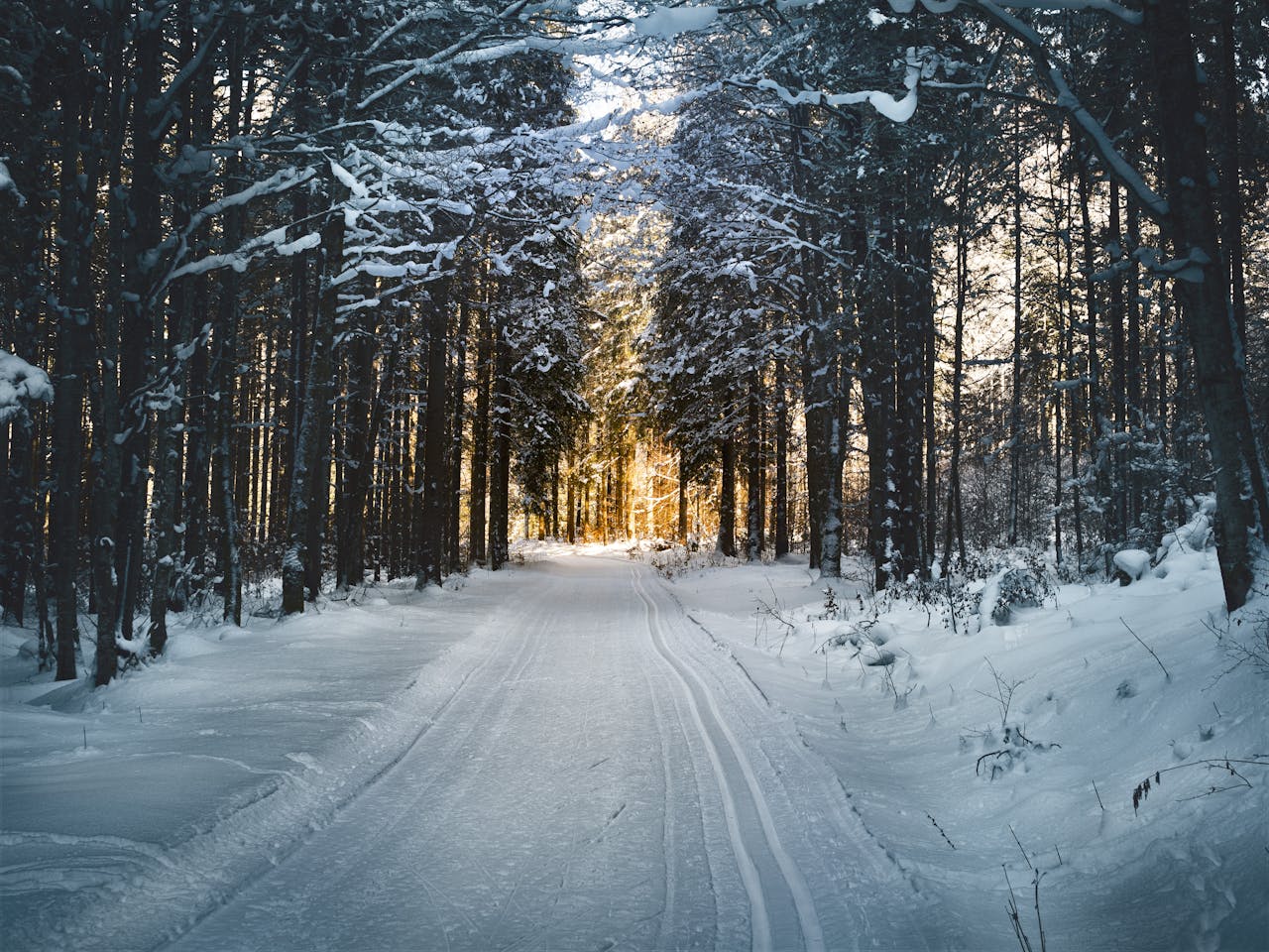 vacances-à-la-neige